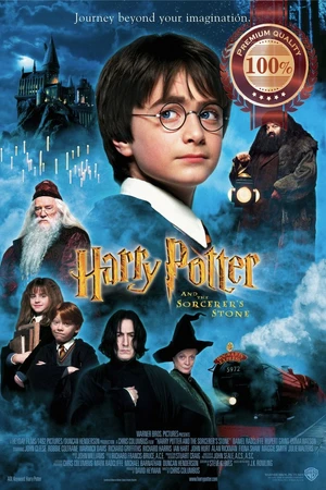 Harry Potter and the Sorcerer's Stone — ranked #8