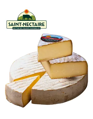 Saint-Nectaire — ranked #8