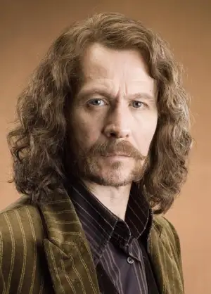 Sirius Black — Harry Potter — ranked #9