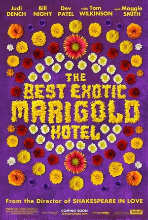 The Best Exotic Marigold Hotel — ranked #11