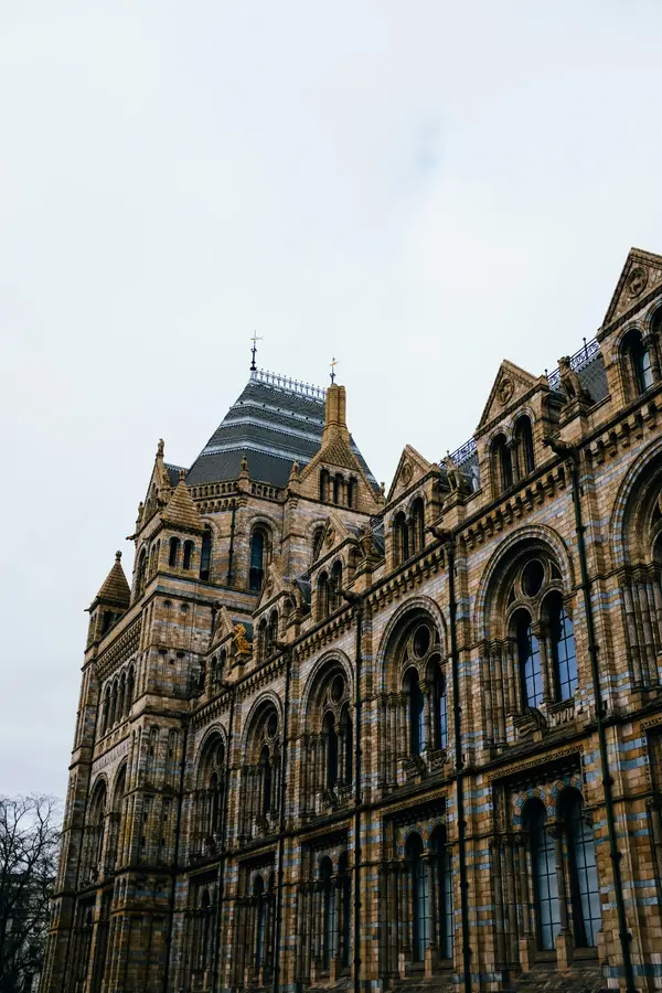 The Natural History Museum - ranking option ranked #12