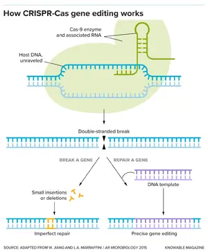 CRISPR — ranked #14
