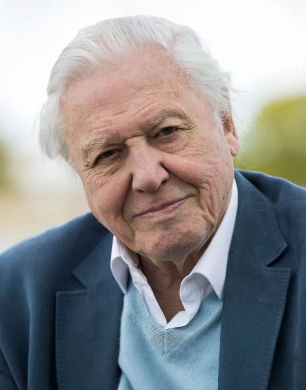 David Attenborough - ranking option ranked #8