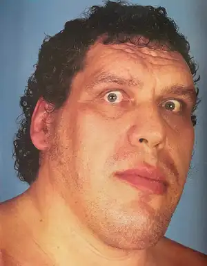 Andre the Giant — ranked #12