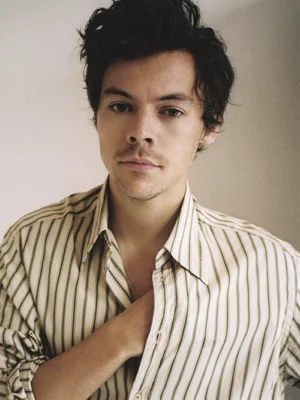 Harry Styles — ranked #18