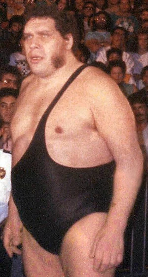 André the Giant — ranked #9