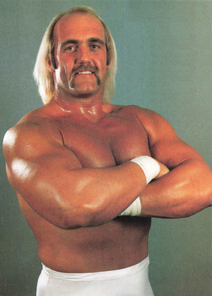 Hulk Hogan — ranked #5