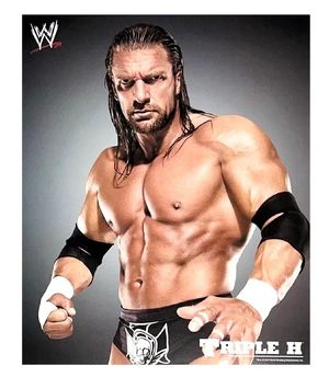 Triple H — ranked #8