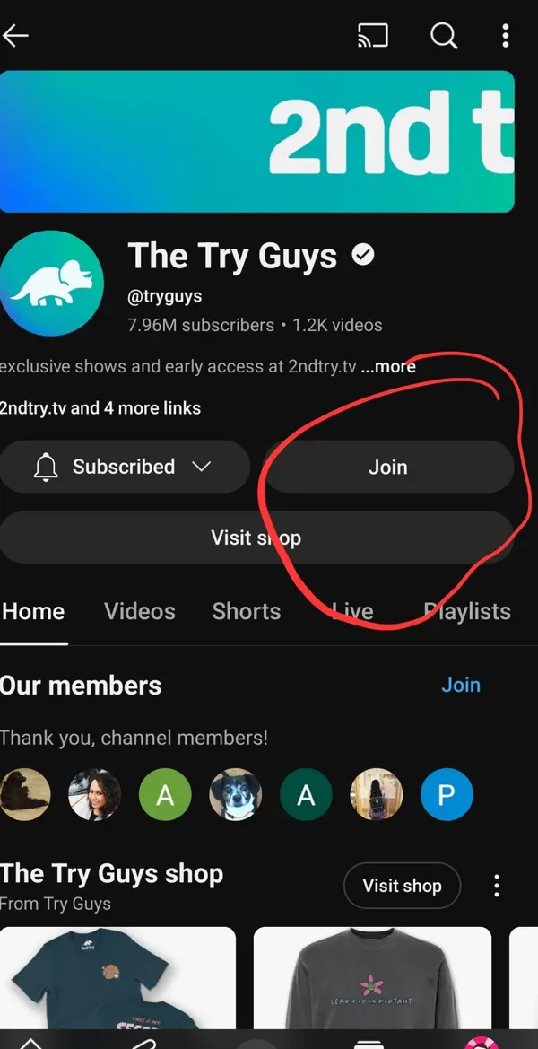 The Try Guys - ranking option ranked #2