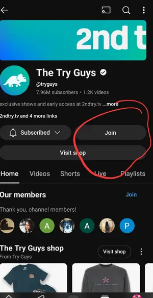 The Try Guys — ranked #6